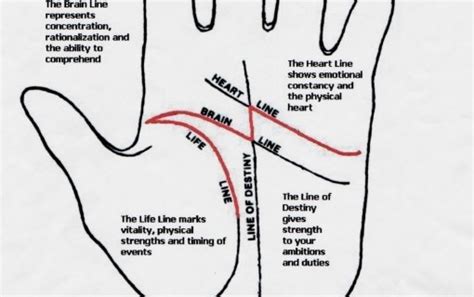Money Line Palmistry .